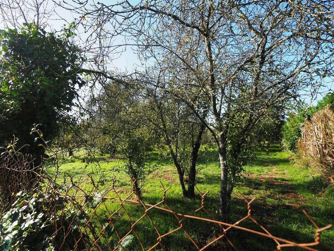 Rare : parcelle construcible dans bel environnement calme et verdoyant - photo 3