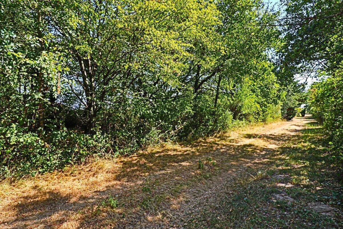 Terrain À Vendre - photo 10