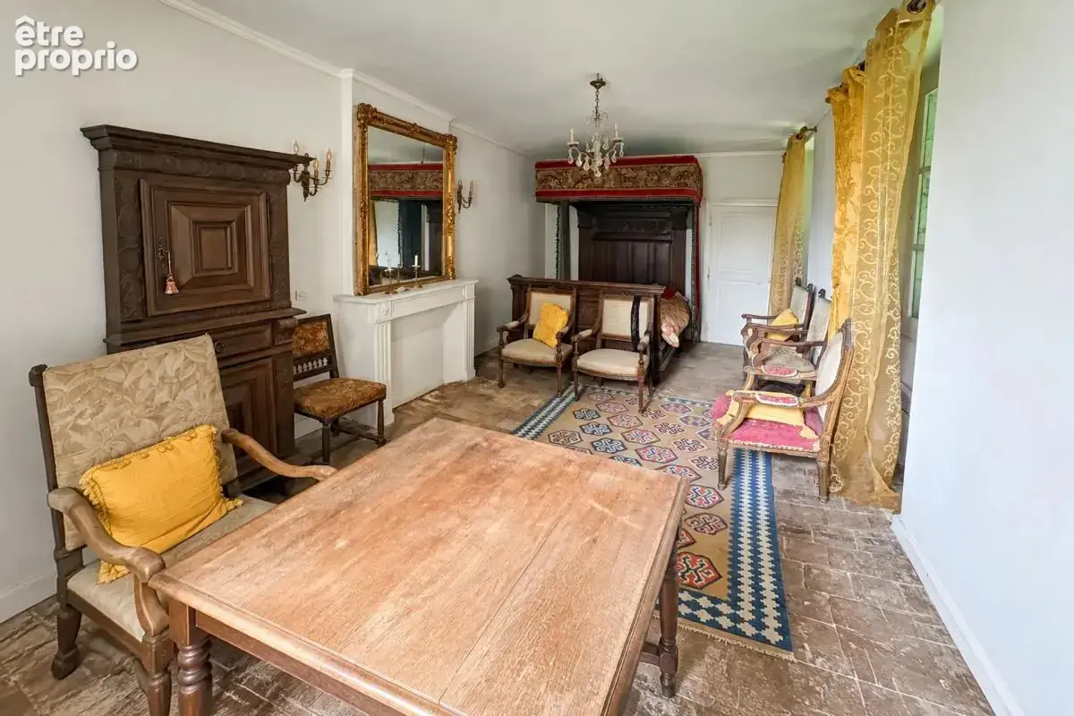 Majestueux Hôtel Particulier à Châtillon-sur-Indre - photo 11
