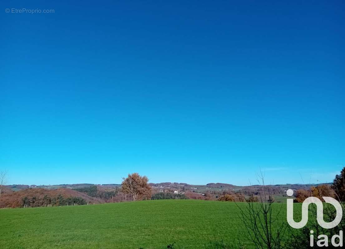 Photo 5 - Maison à LADINHAC