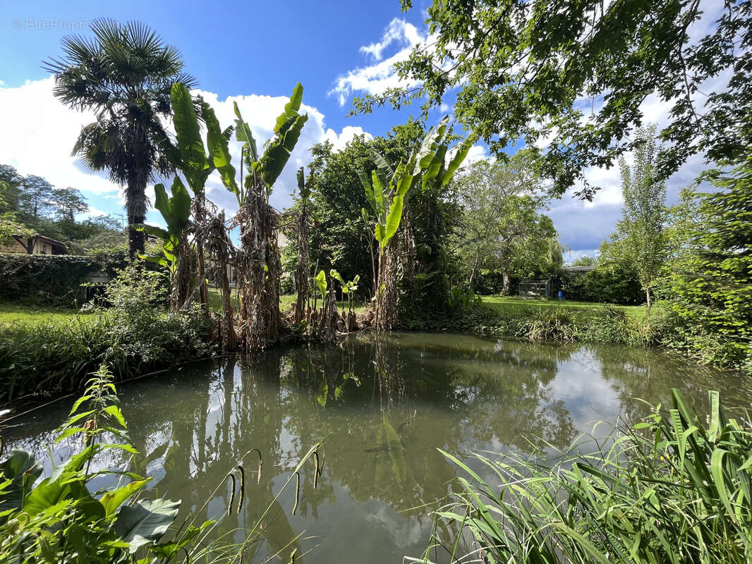 Maison à SORT-EN-CHALOSSE