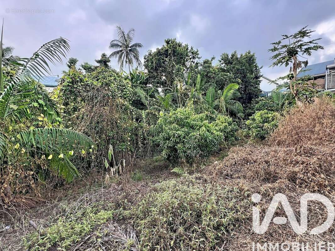 Photo 4 - Terrain à LE TAMPON