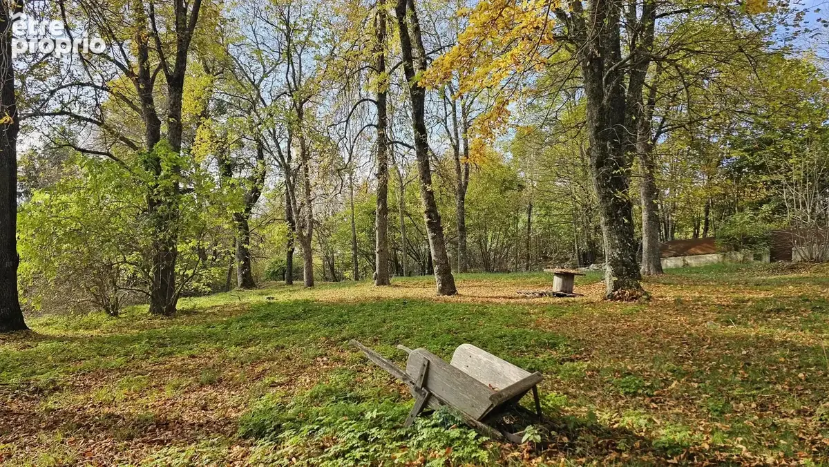 Bastide en pierre de caractère – caussols - photo 2