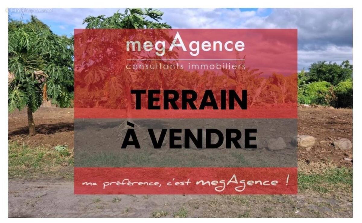 Terrain à SAINT-ANDRE