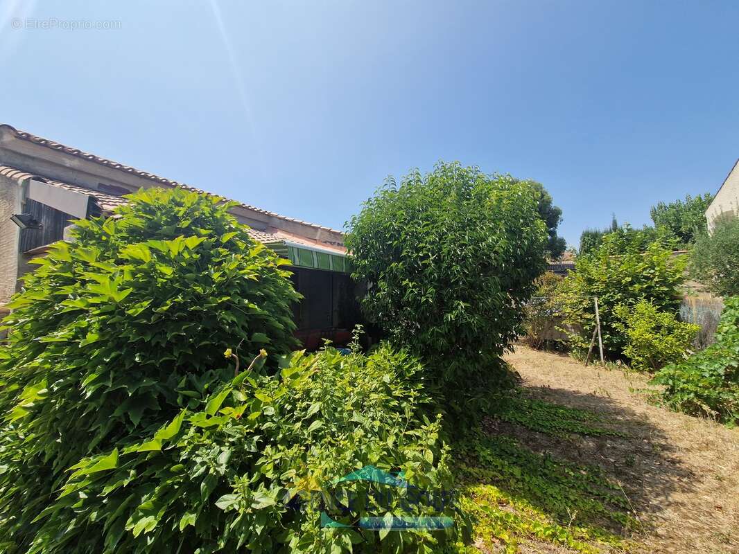 Villa de plain-pied T 4 avec piscine - photo 3