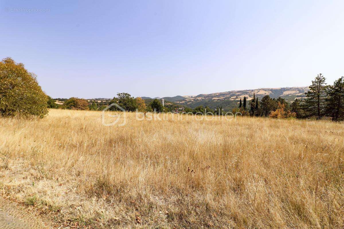 Terrain de 3 500 m² pour votre projet de rêve ! - photo 3