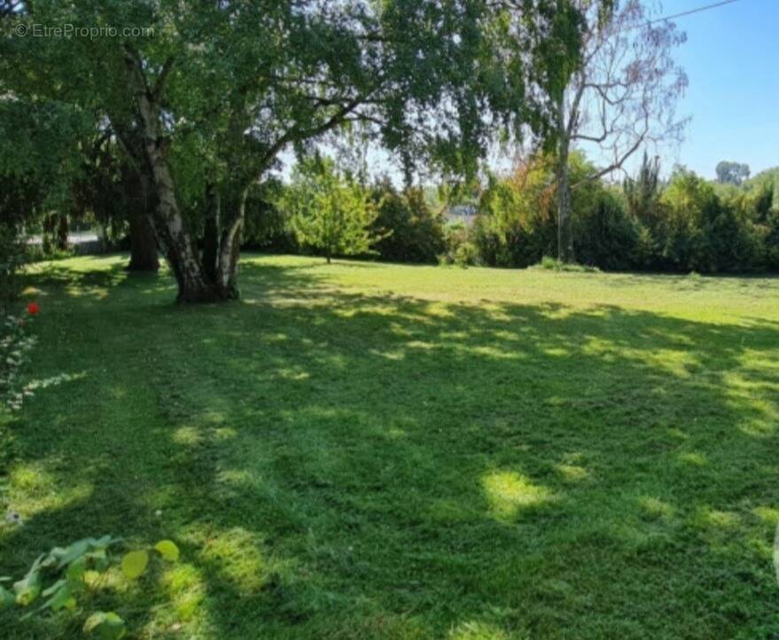 Terrain à MONTLHERY