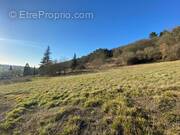 Terrain à SAINT-PAUL-DE-SERRE