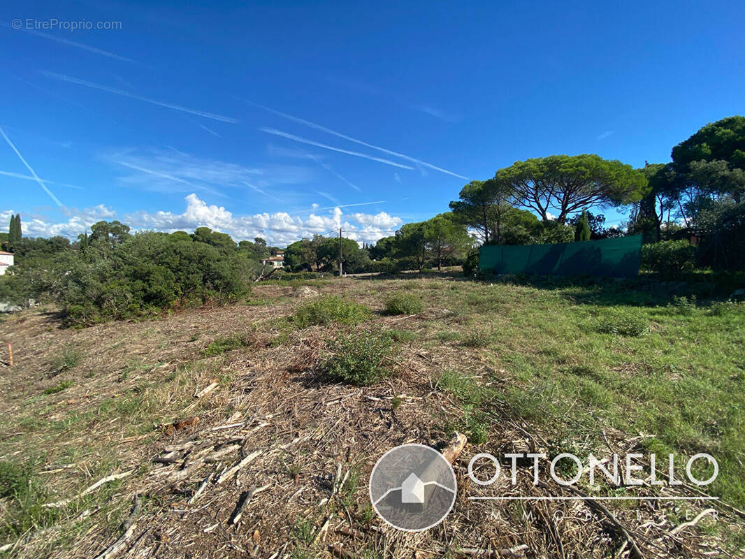 Terrain à ROQUEBRUNE-SUR-ARGENS
