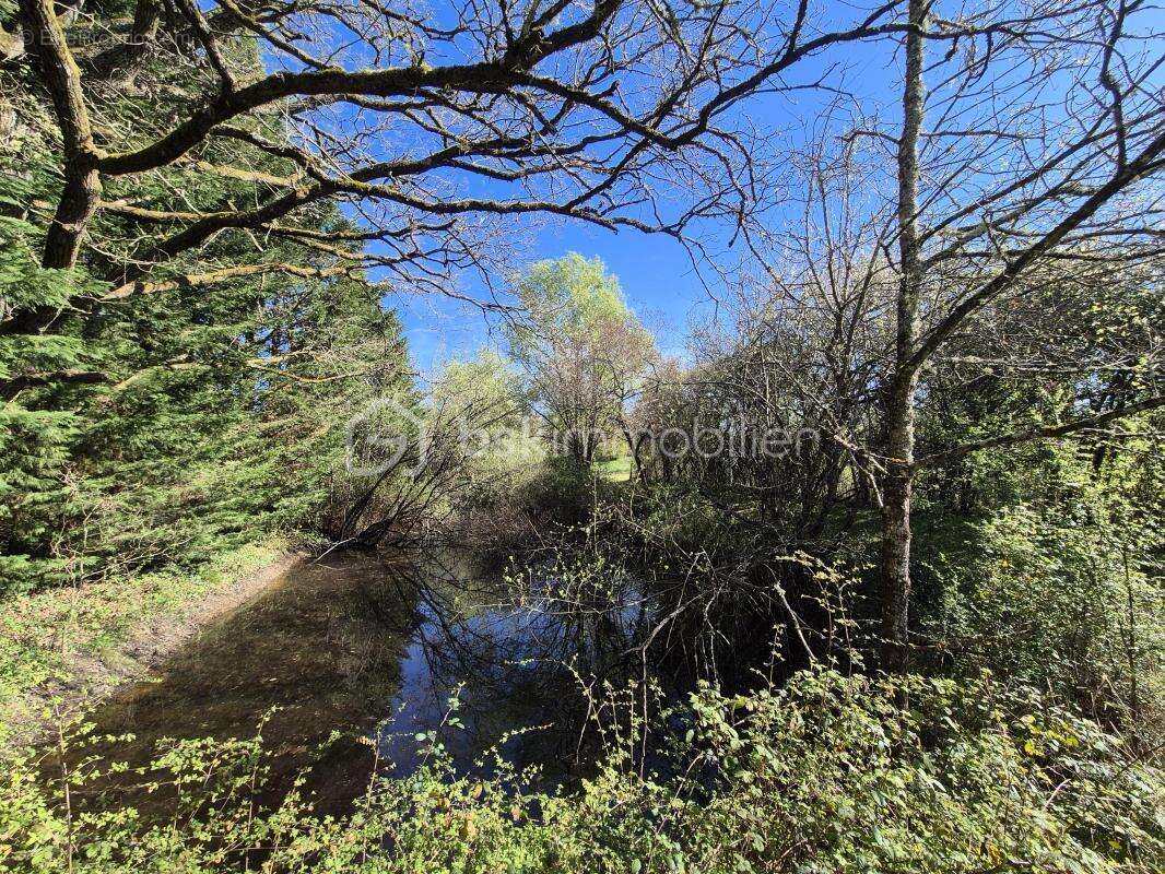 Maison de campagne 115m2 avec terrain sans voisinage - photo 5