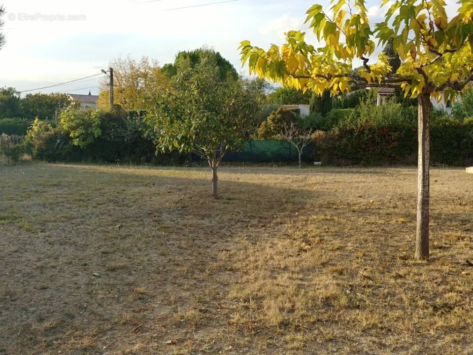 Terrain à COMBS-LA-VILLE