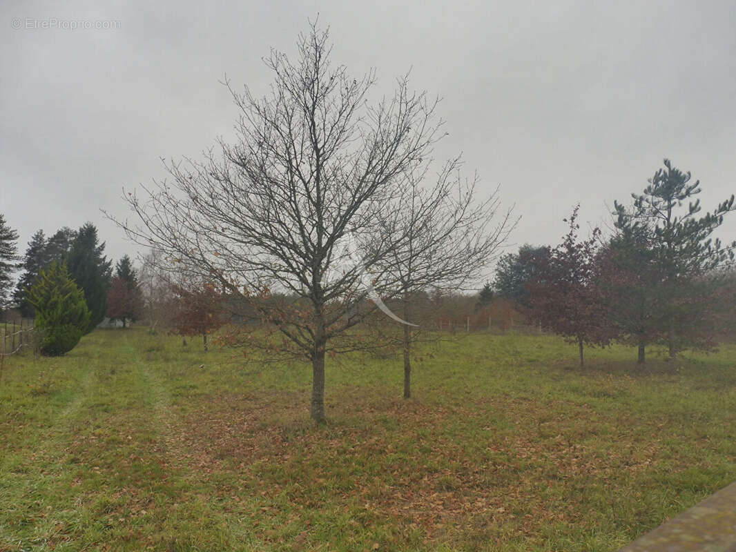 Terrain à CHAUMONT-SUR-THARONNE