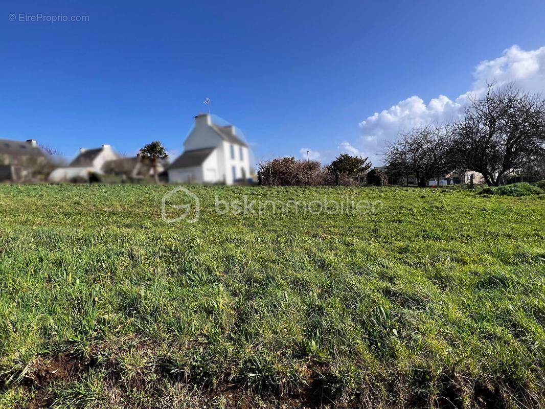 Terrain à PLOMODIERN