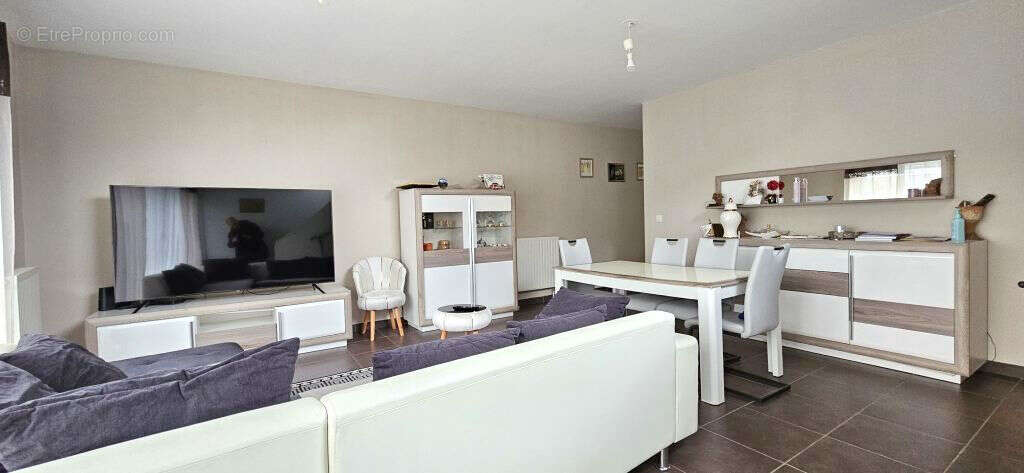 Tourcoing brun pain - belencontre - photo 3
