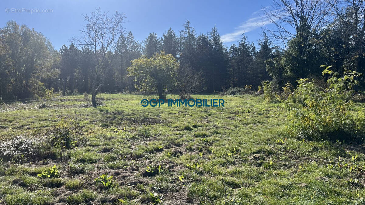 Terrain à VILLEMATIER