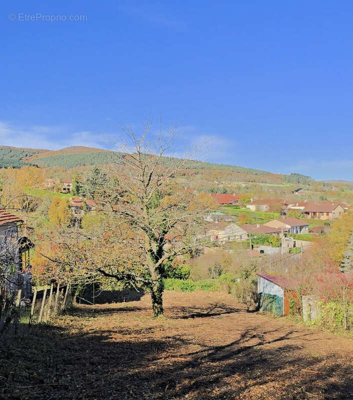 Terrain à COMBRONDE
