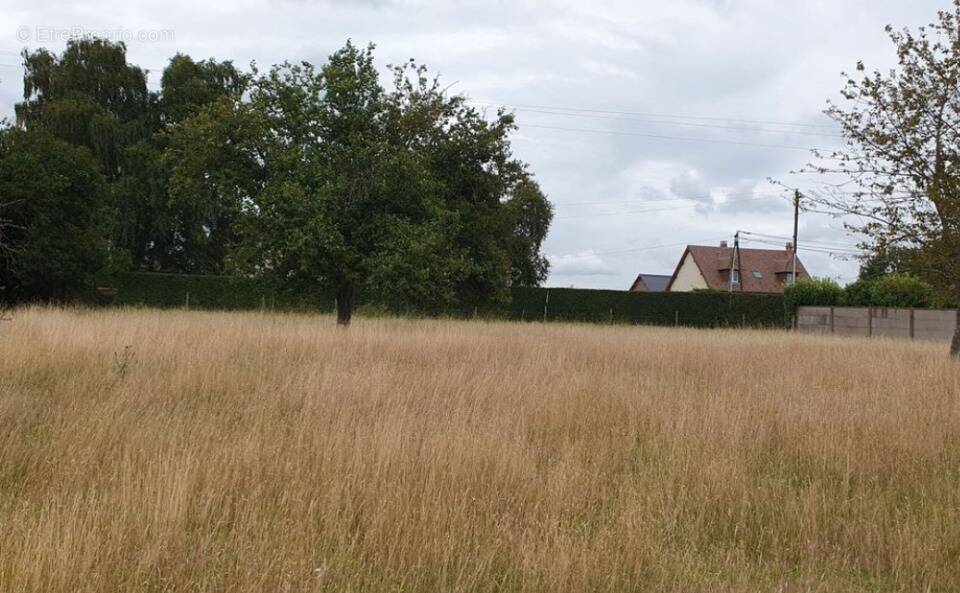 Terrain à CORNEVILLE-SUR-RISLE