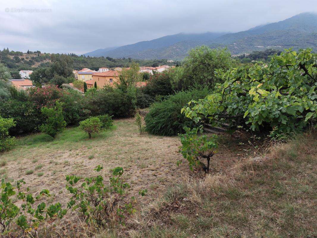 Terrain constructible avec vue sur les Albères - photo 4