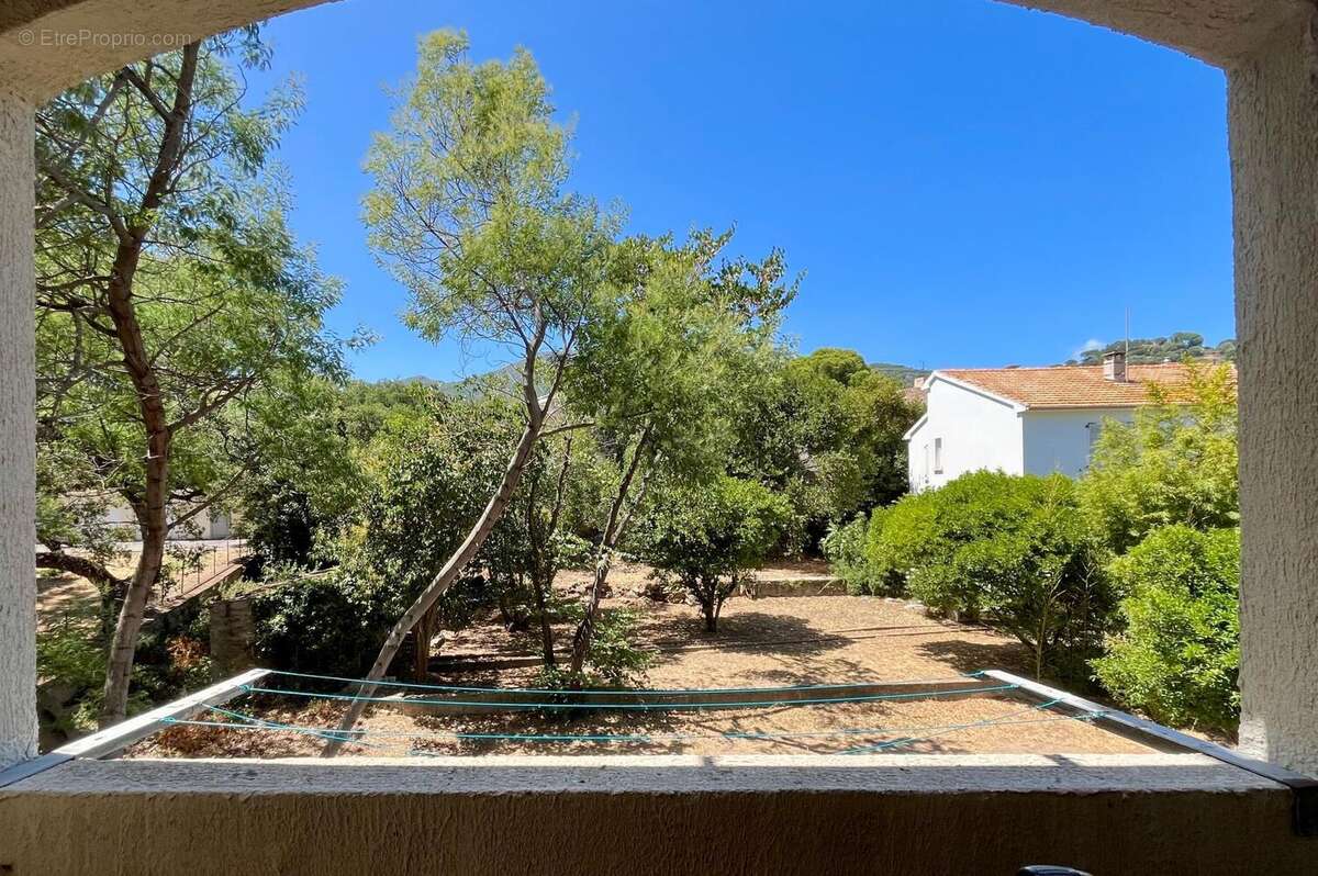 Photo 7 - Appartement à BASTIA