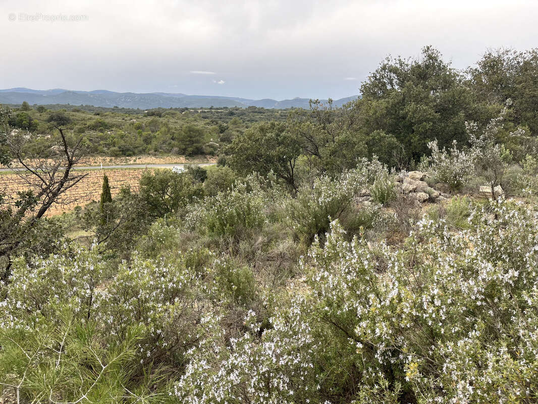 Terrain à SAINT-CHINIAN