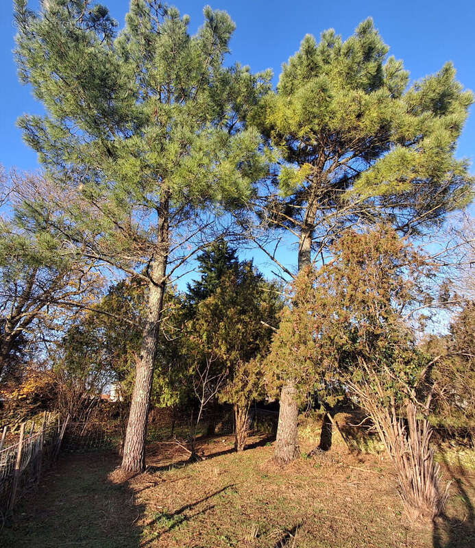 Photo 9 - Maison à VOUILLE