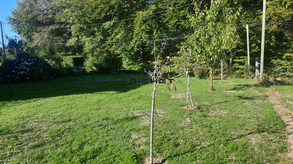 Maison à SAINT-MEXANT