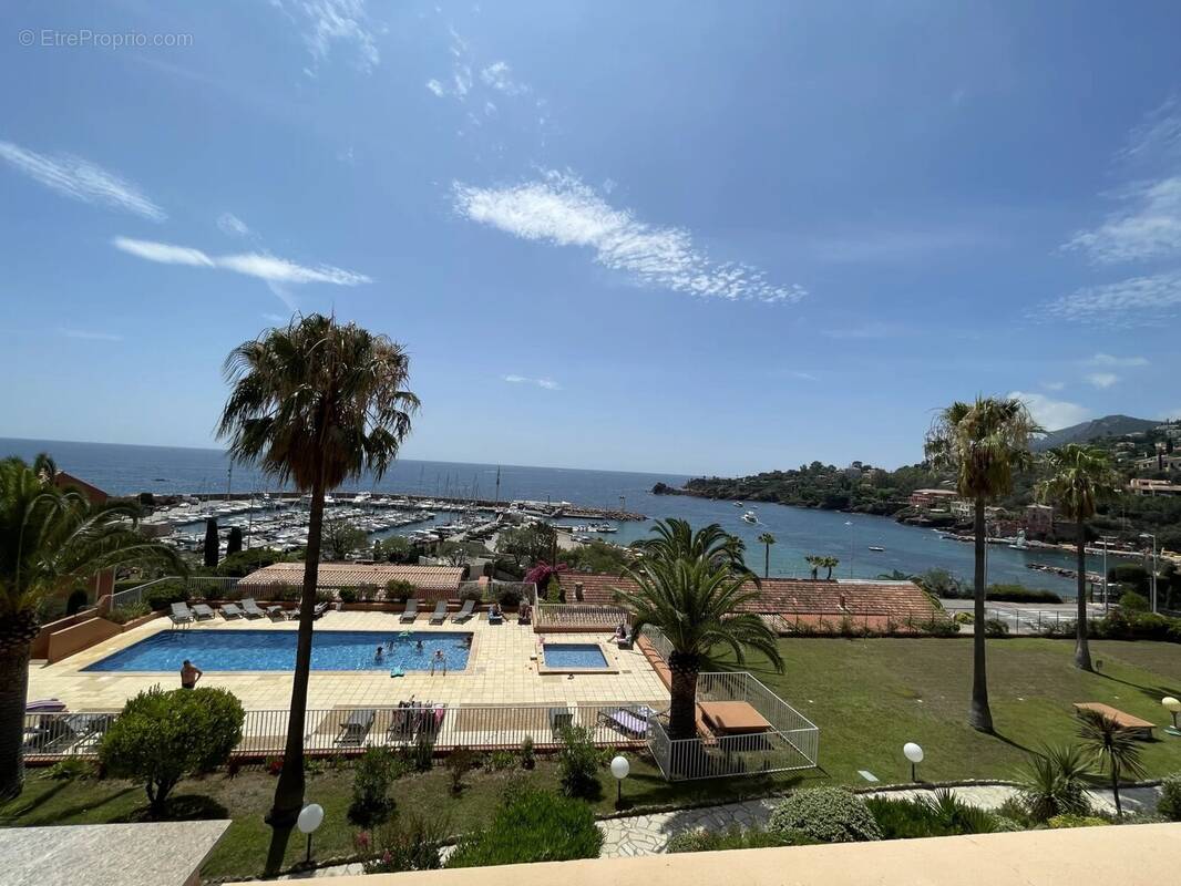 Appartement à THEOULE-SUR-MER