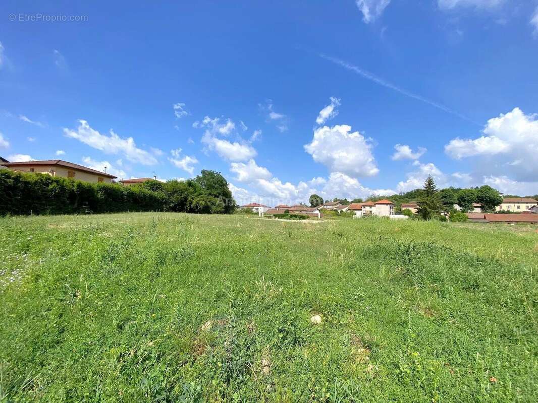 Terrain à MEXIMIEUX