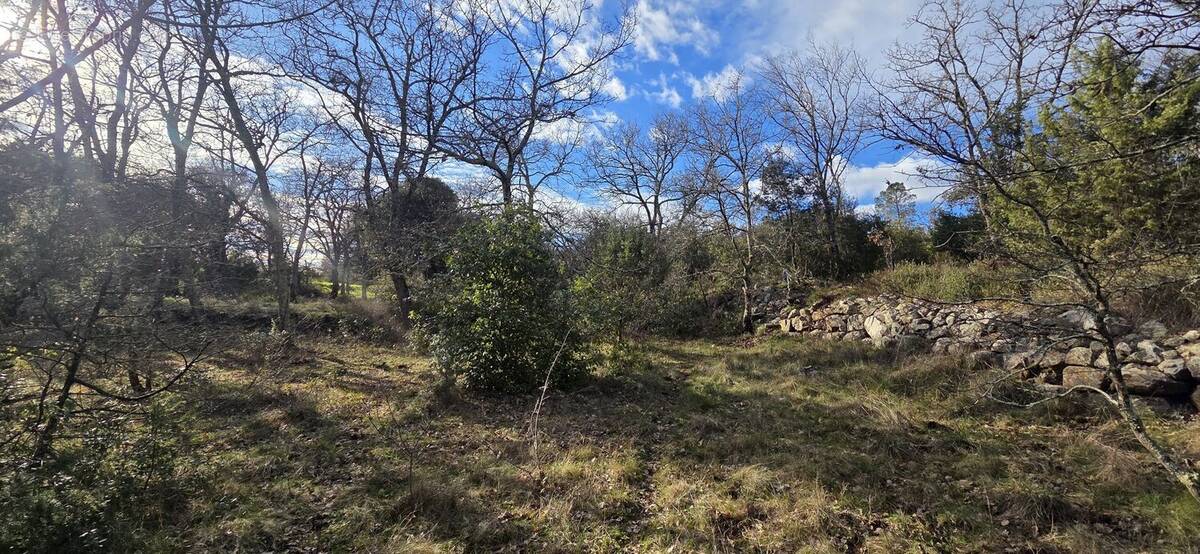 Terrain à SAINT-QUENTIN-LA-POTERIE