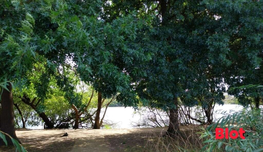 Terrain à SAINT-NAZAIRE