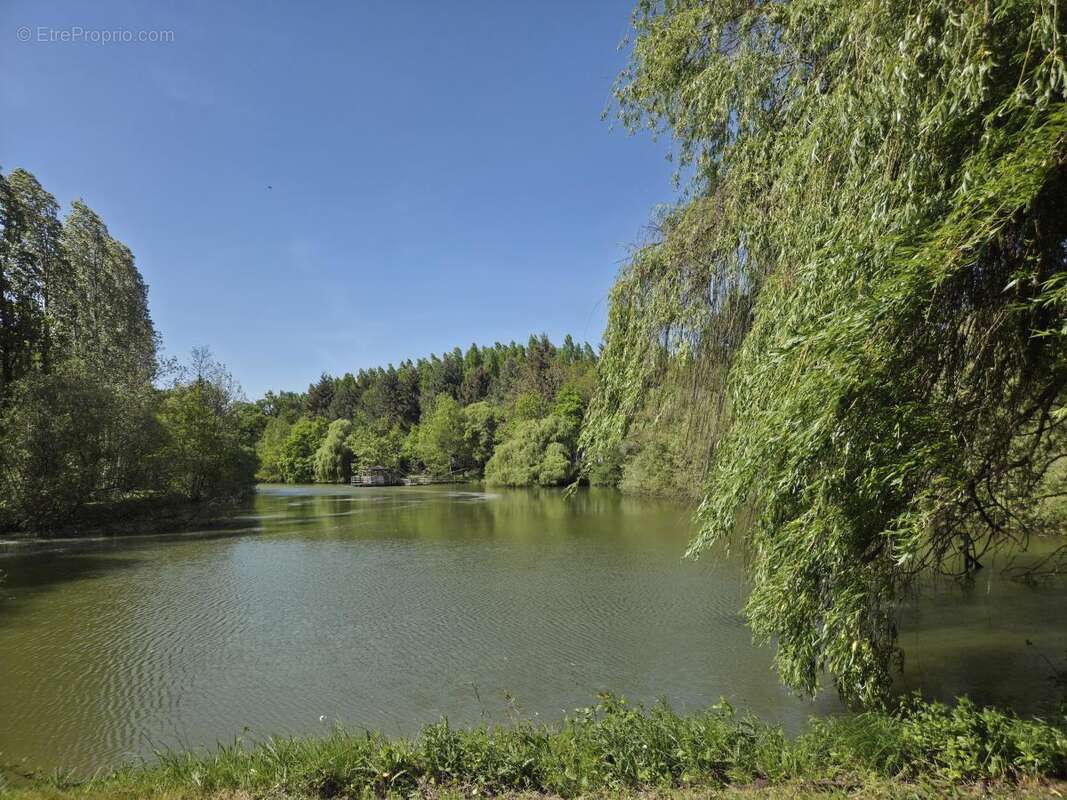 Terrain à LOIGNE-SUR-MAYENNE