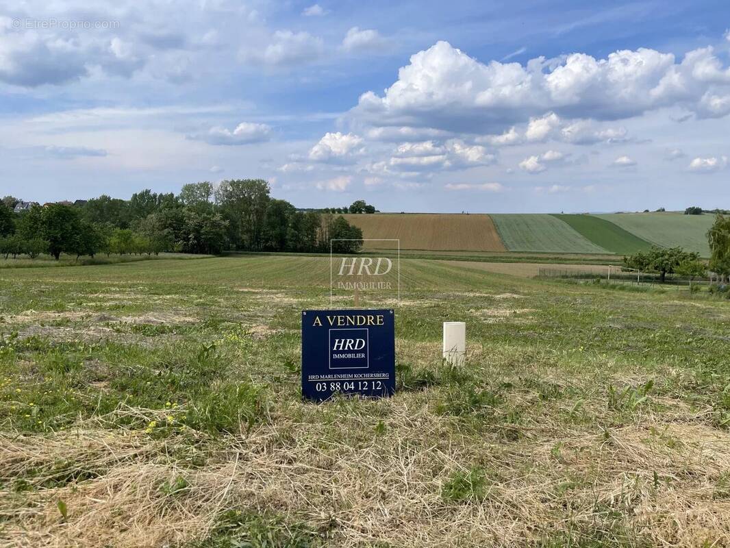 Terrain à KNOERSHEIM