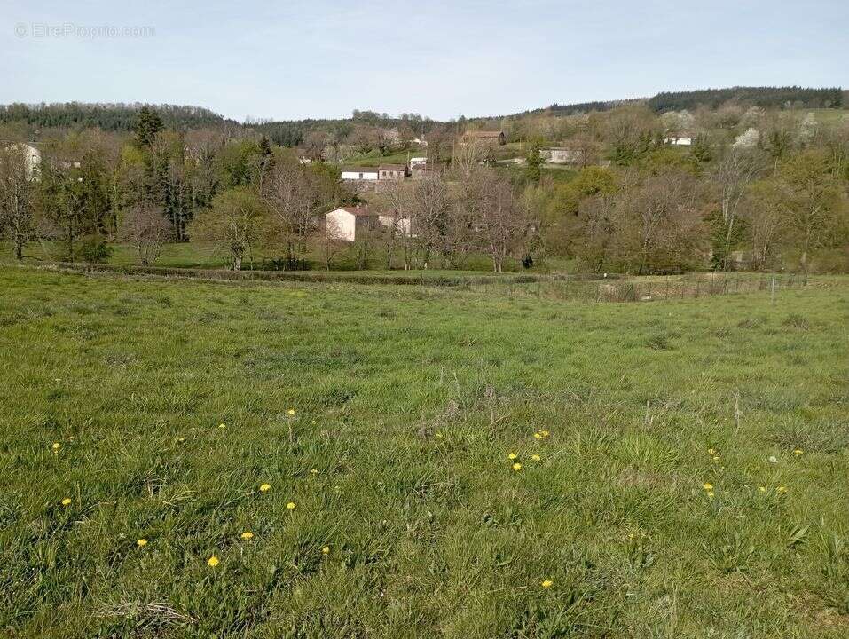 Terrain à FERRIERES-SUR-SICHON