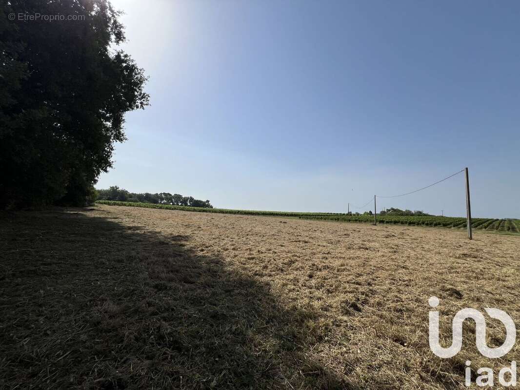 Photo 6 - Terrain à BELLEBAT