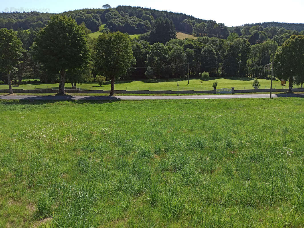 Terrain à LA SALVETAT-SUR-AGOUT