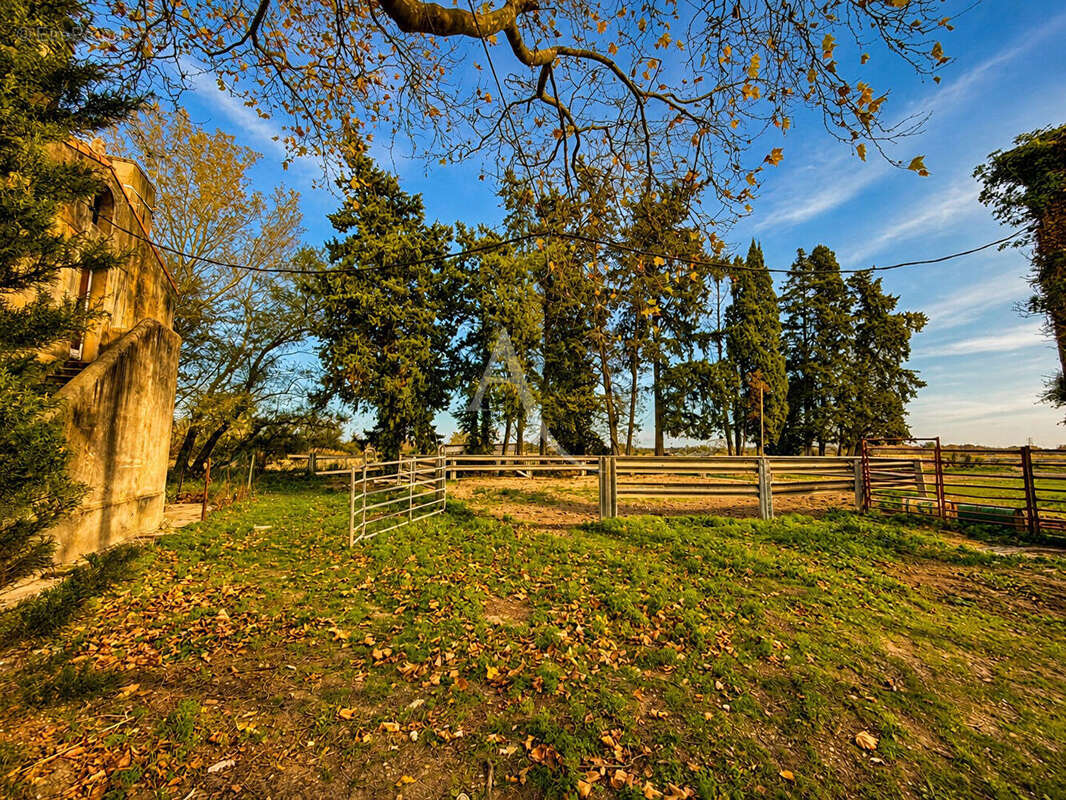 Domaine de Provence (Mas Arles) - photo 6