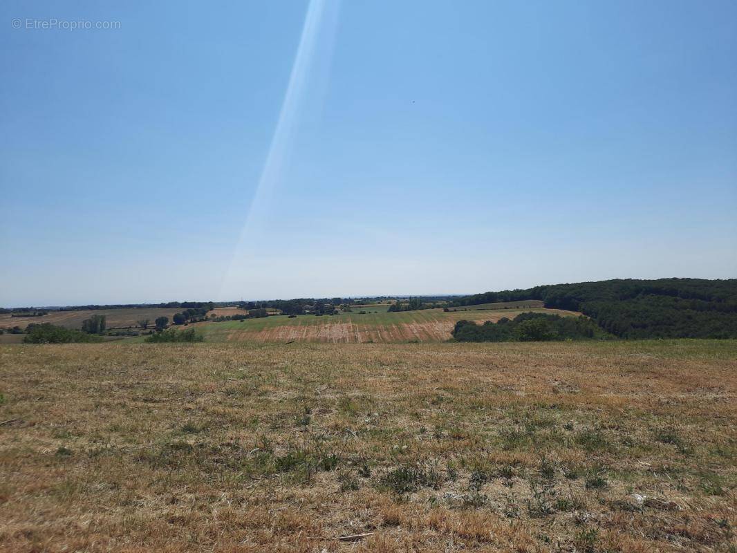 Terrain à MONTJOIRE
