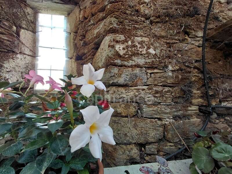 Propriété du XV siècle - Sur les hauteurs du Lot - Chambres d'hôtes - gîtes - photo 32