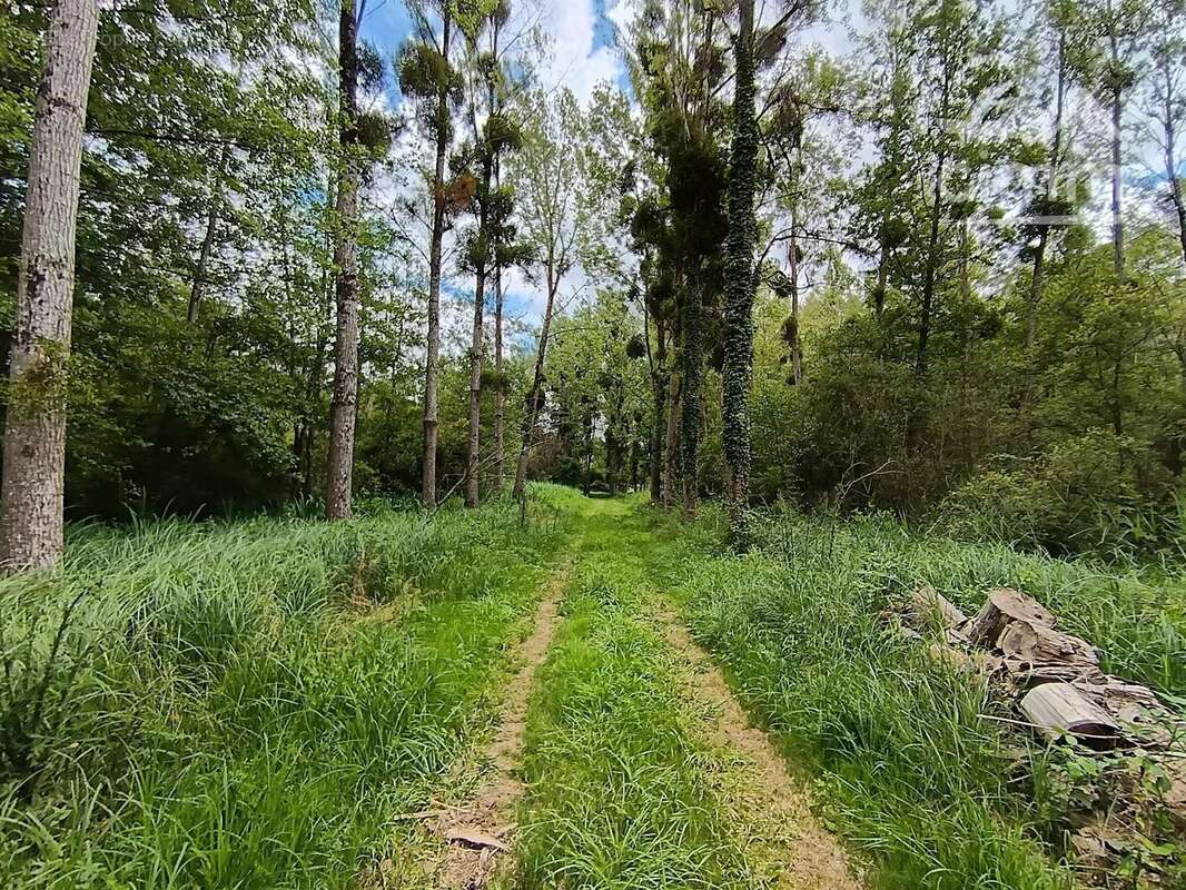 Terrain de loisirs au bord de la cisse - photo 5