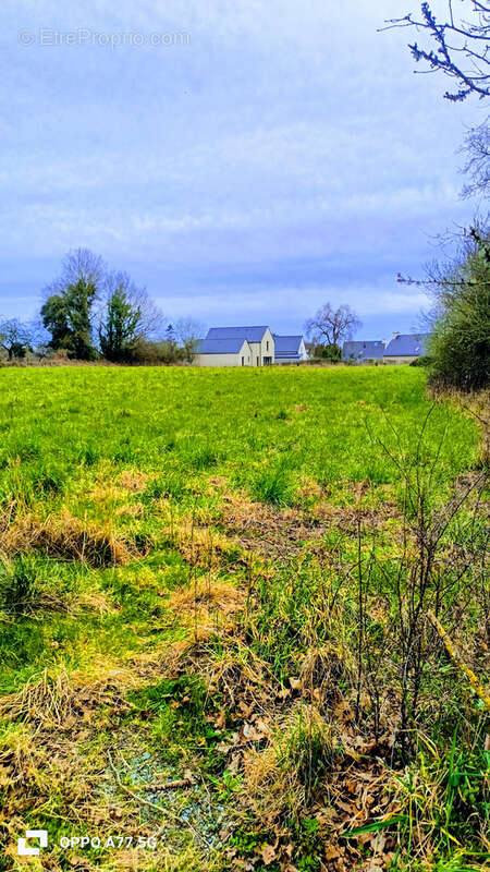 Terrain à SAINT-BRIAC-SUR-MER