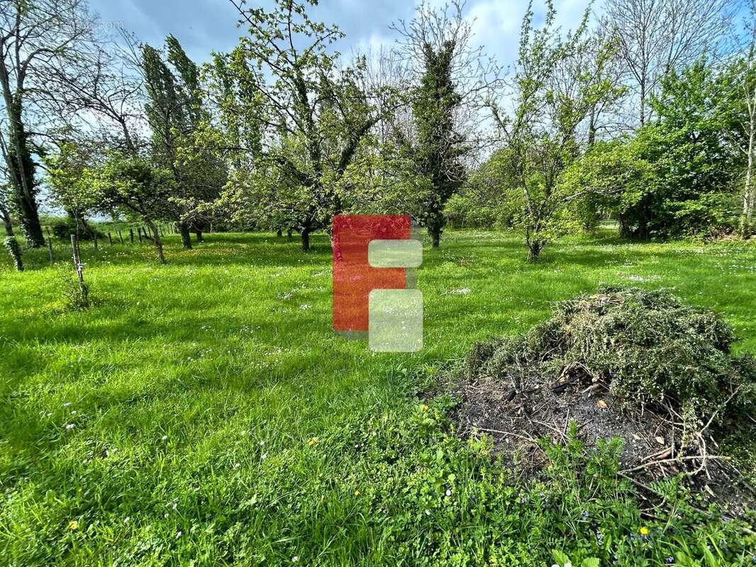 Terrain à SAINT-PHAL