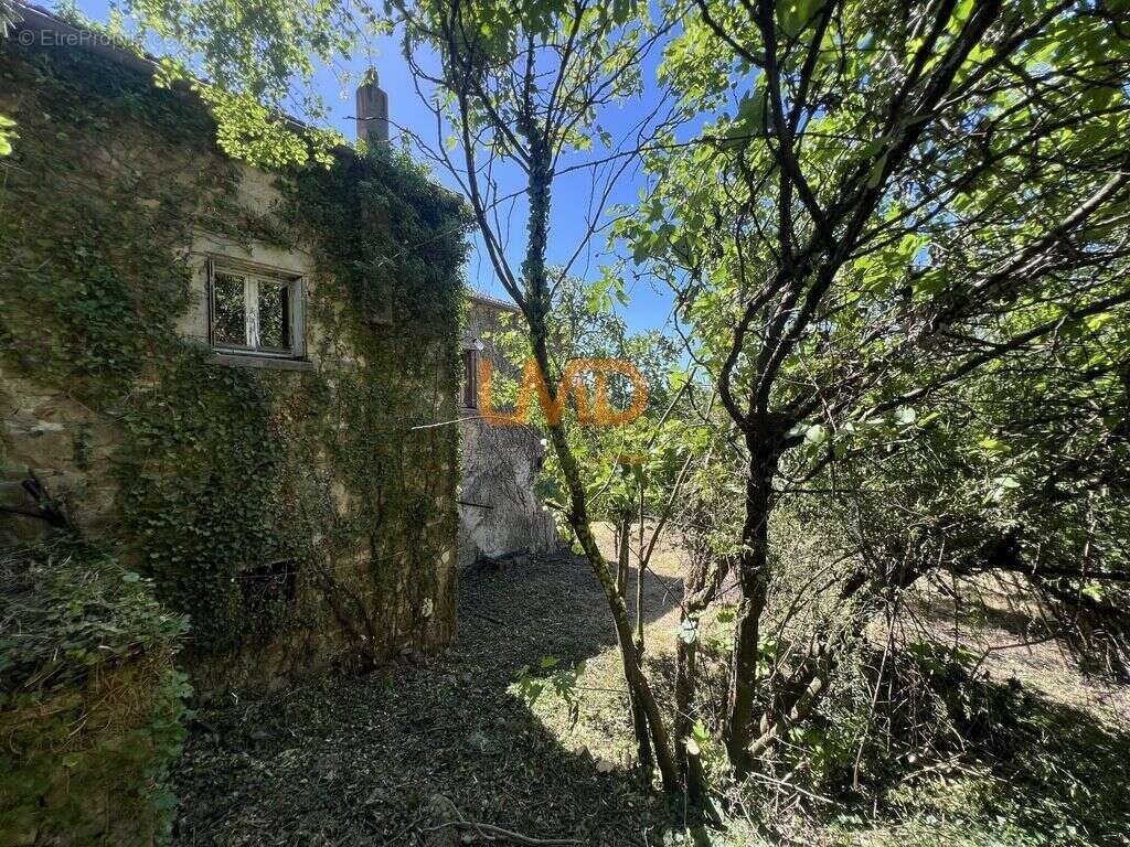 Maison en pierre à rénover avec caves à Mercuer - photo 18