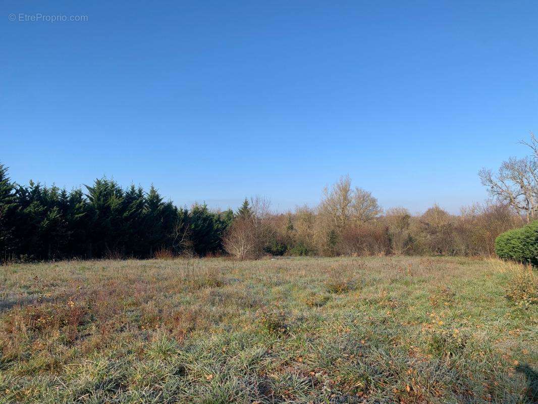 Terrain à FLEURANCE