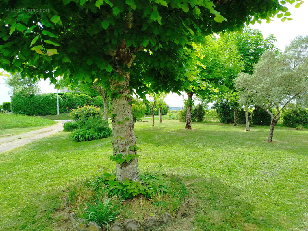 Maison à SAINT-ANDRE-ET-APPELLES