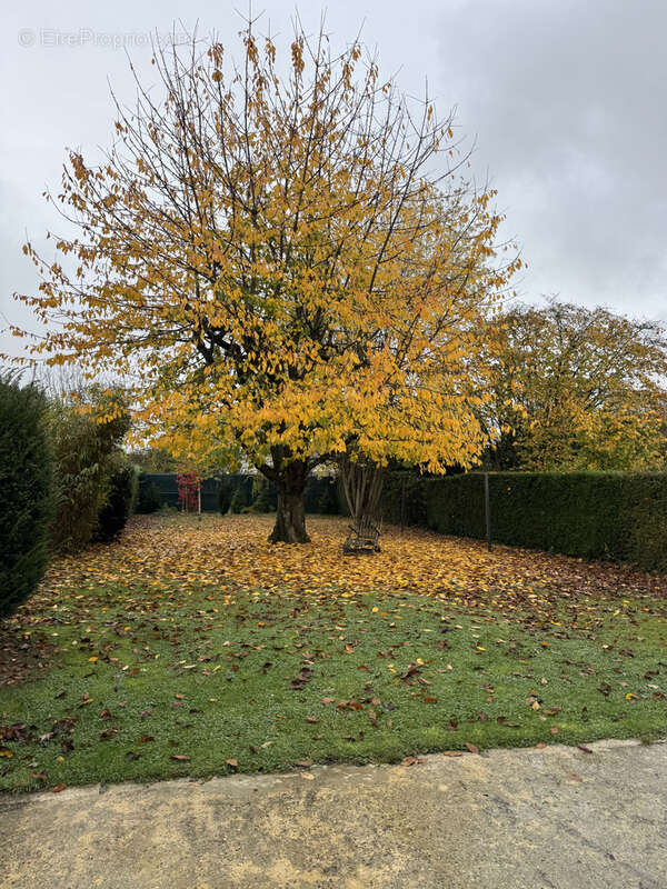 Maison à ALLONVILLE