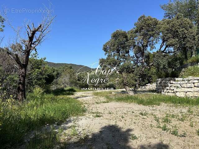 Terrain à RAYOL-CANADEL-SUR-MER