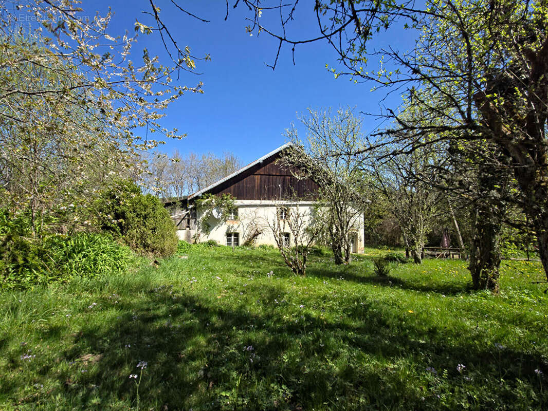 Maison à MONTANDON