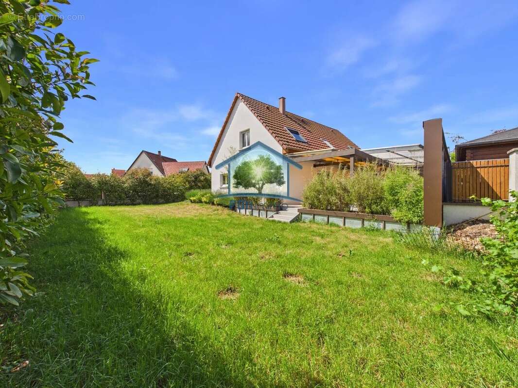 Maison à OBERMODERN-ZUTZENDORF
