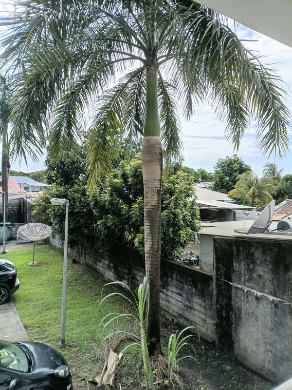 Appartement à KOUROU