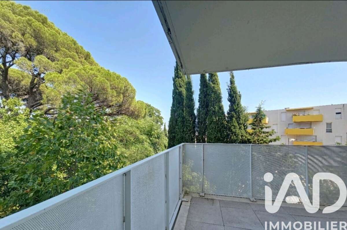 Photo 3 - Appartement à MONTPELLIER